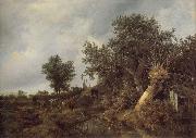 Jacob van Ruisdael Landscape with a cottage and trees painting